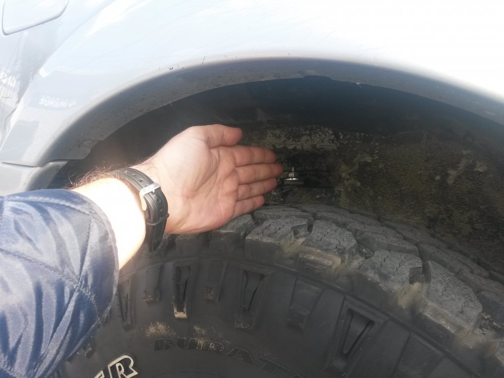 20141006_133236.thumb.jpg.9c80eade0280cee3a3bbe85128ec7ca0.jpg