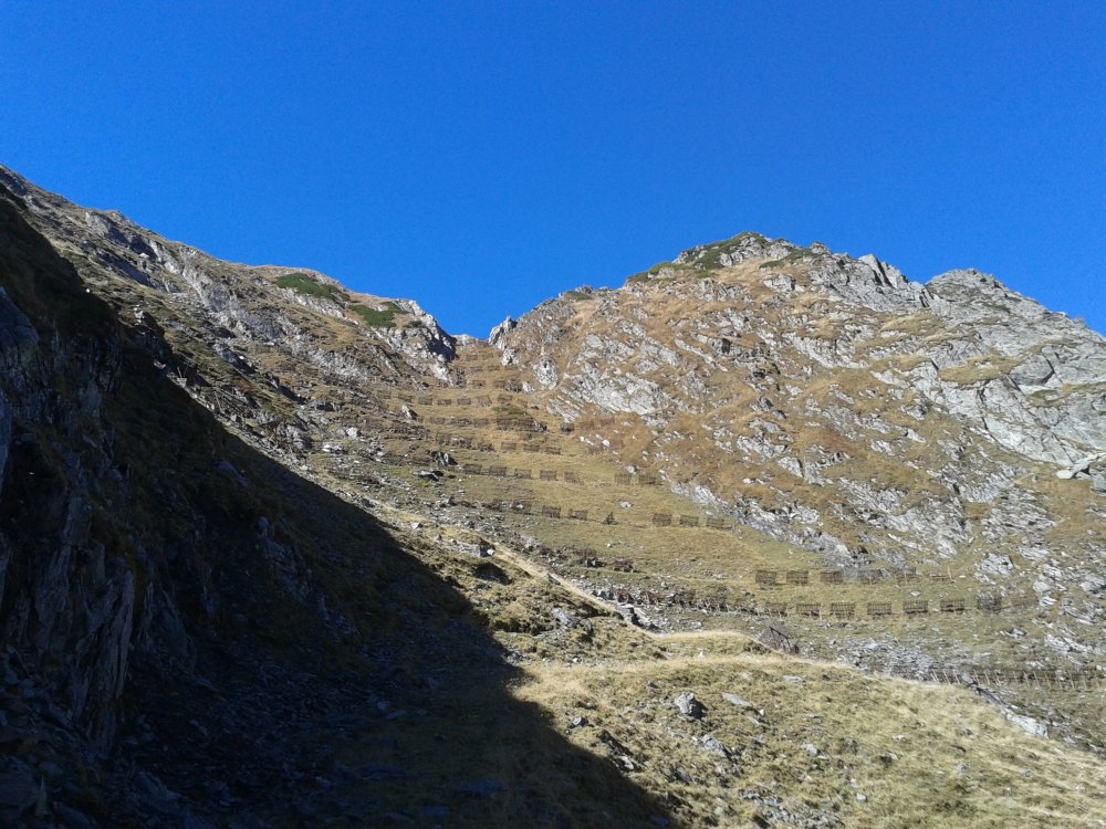20141009_120641.thumb.jpg.e14b37bf754f402cbc87d7ff754ff5eb.jpg