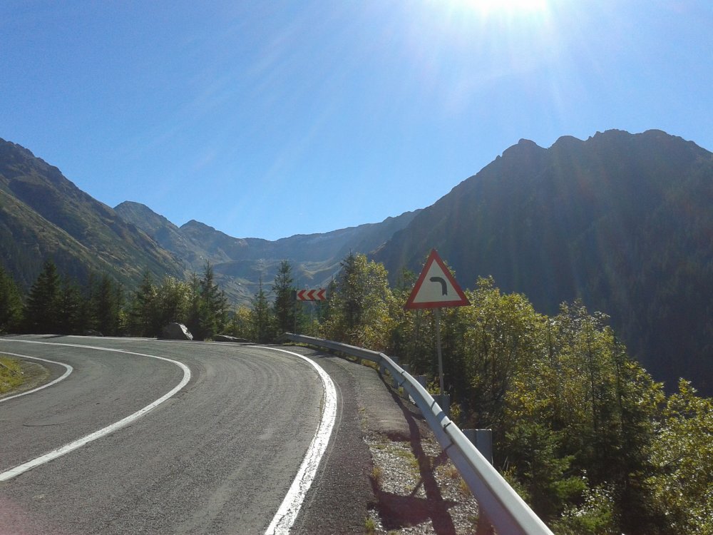 20141009_135136.thumb.jpg.596eaae9d3f3b79be349a747e6ca8d33.jpg