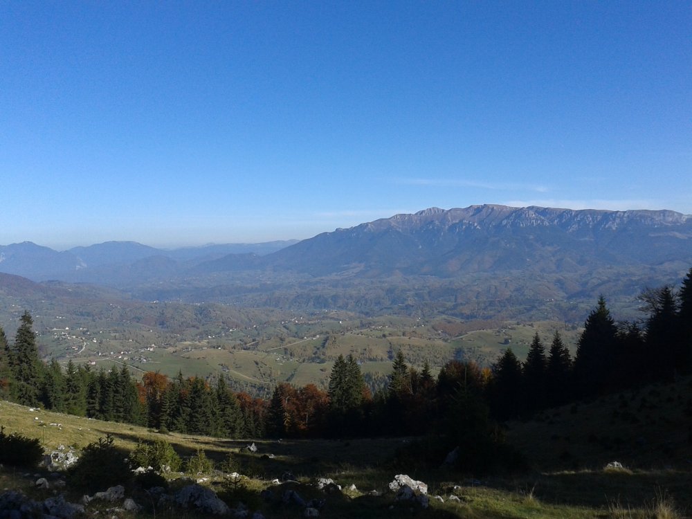 20141012_155553.thumb.jpg.7286bb89d2c008fa088de62f1ab4ad65.jpg