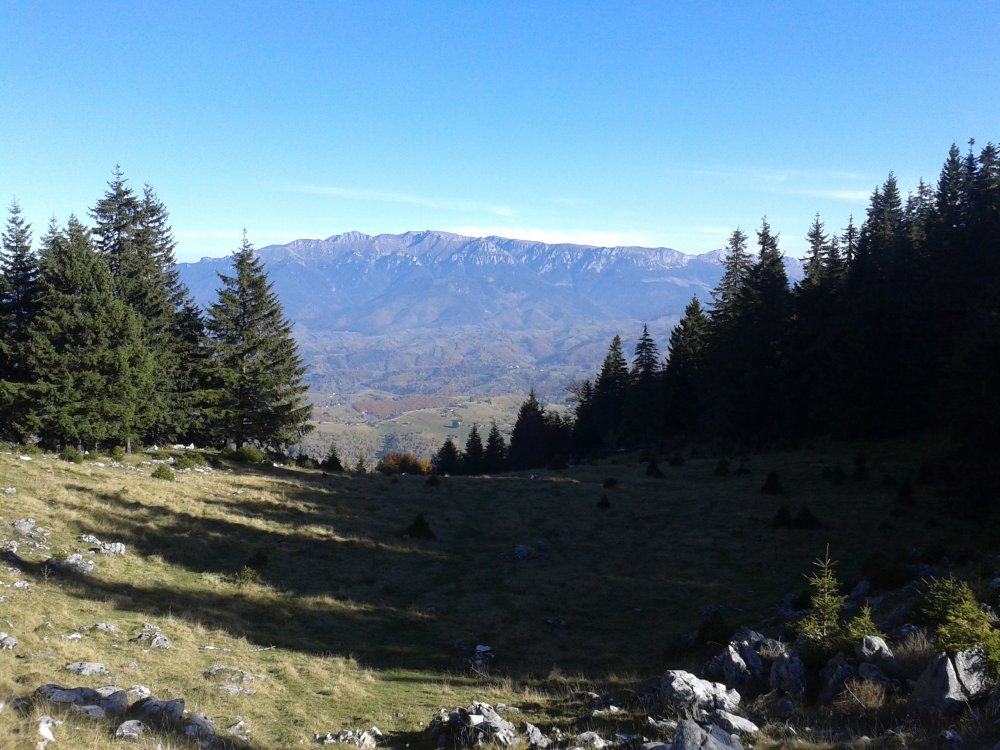 20141012_155716.thumb.jpg.49eb039db0598aab95cc4335ab941686.jpg