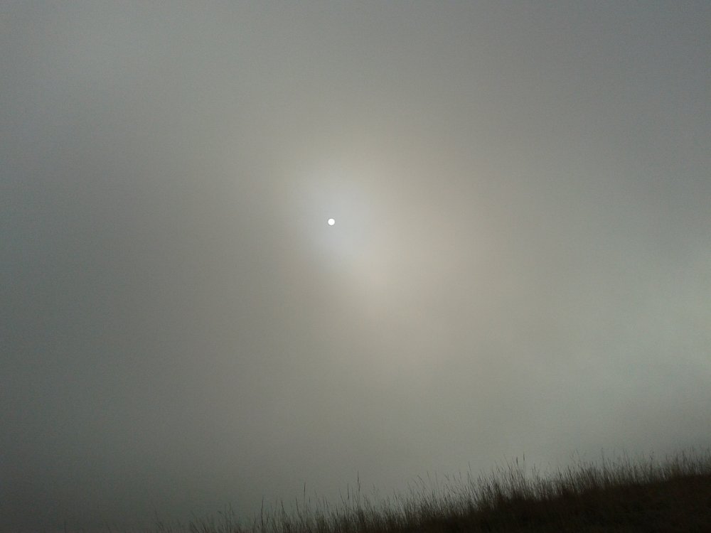 20141019_173519.thumb.jpg.6c958b158a73fe657bf4127968bc50df.jpg