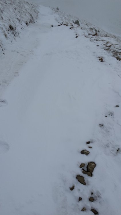 20141123_133724.thumb.jpg.ef5730c8d4455212b989d733f2e4d2c4.jpg