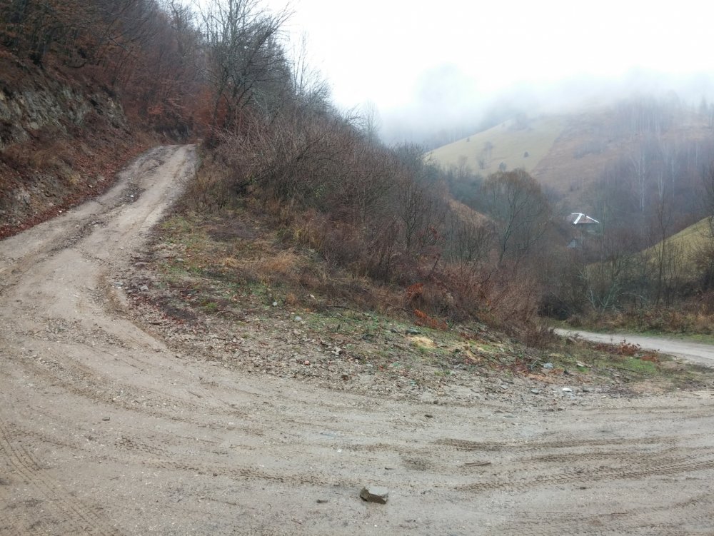 20141130_125502.thumb.jpg.5b4b2513af7de89400ccf5ee979884de.jpg