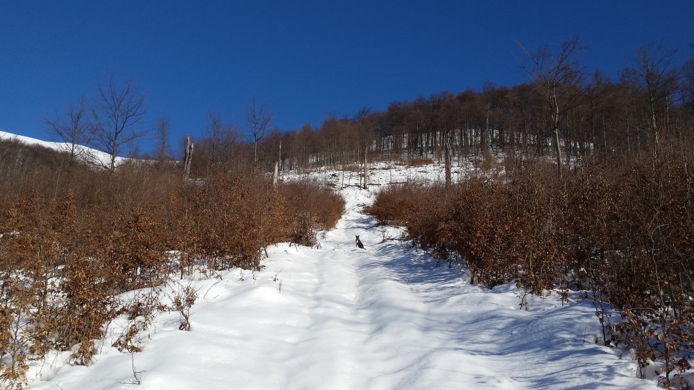 20141214_120738.thumb.jpg.1f4c79634bf0f951b33c4d226c368164.jpg