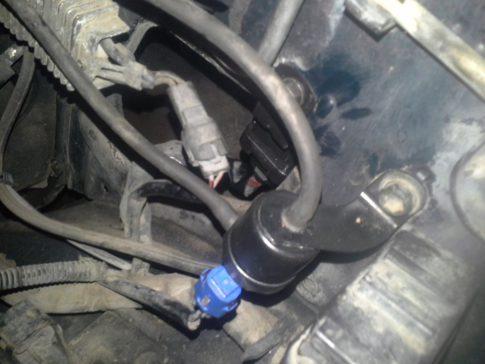 20150129_193509.thumb.jpg.963e78d7ea381435e70a439f7e42c1c1.jpg