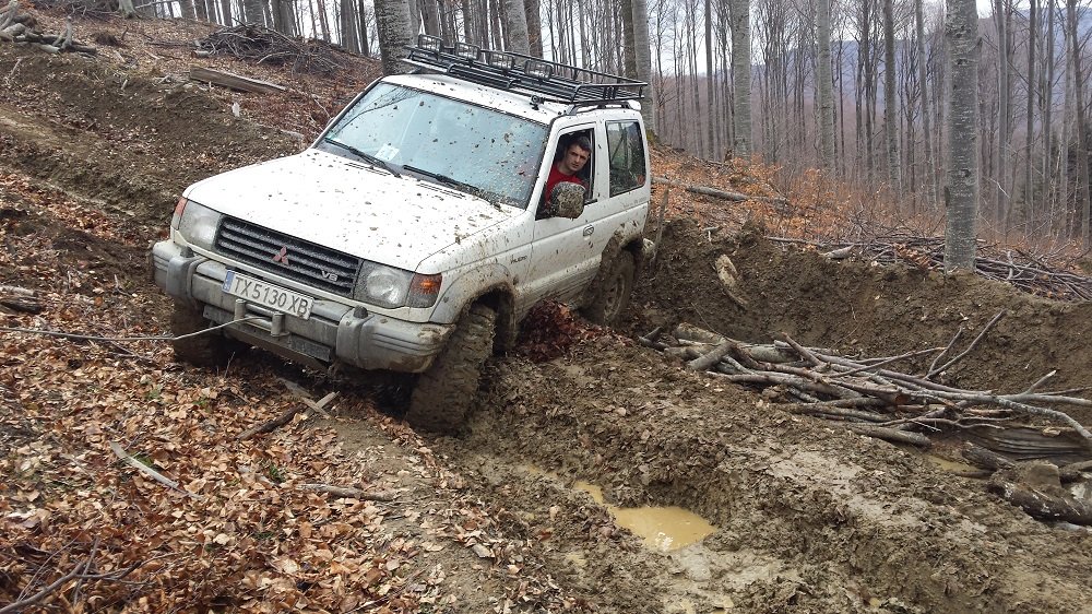 20150315_121031.thumb.jpg.d172062afc3d463215501353ddddc89f.jpg