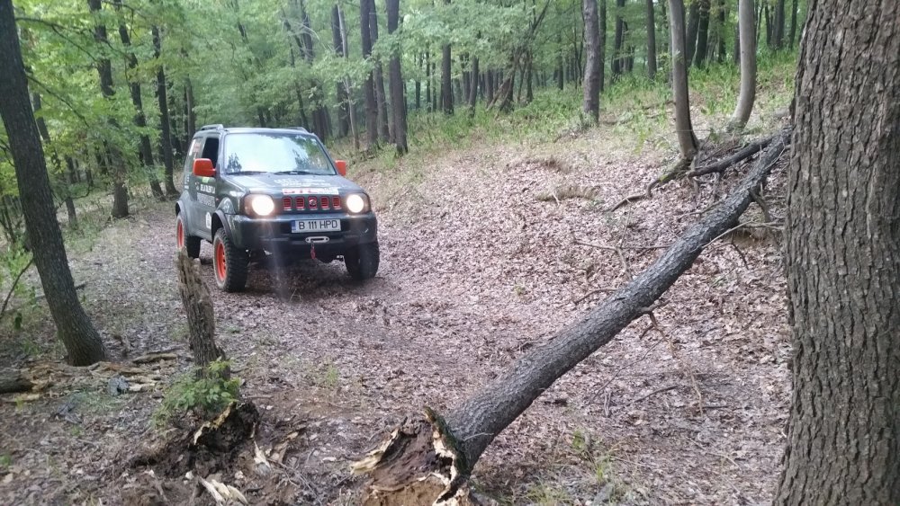 20150903_185025_resize.thumb.jpg.b5131234e2914e019c283789800260b0.jpg