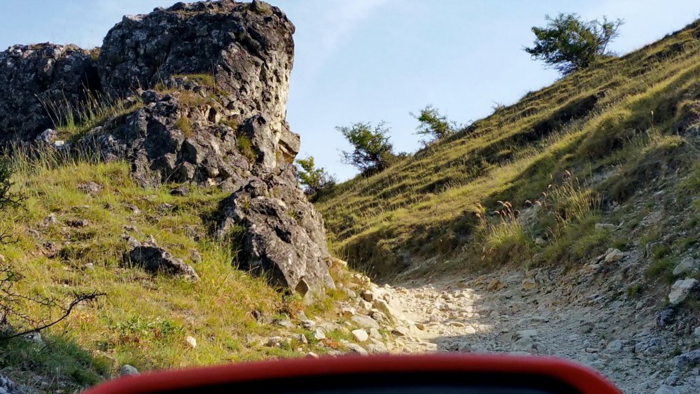 20150905_160309_resize.thumb.jpg.7c9503ce8df7333f0a3ccf160b4ac6d9.jpg