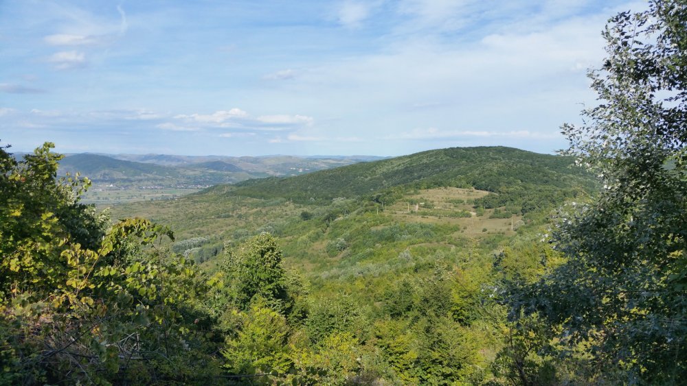20150906_162830_resize.thumb.jpg.d3afb106f6bd0970fe751c4280c46215.jpg