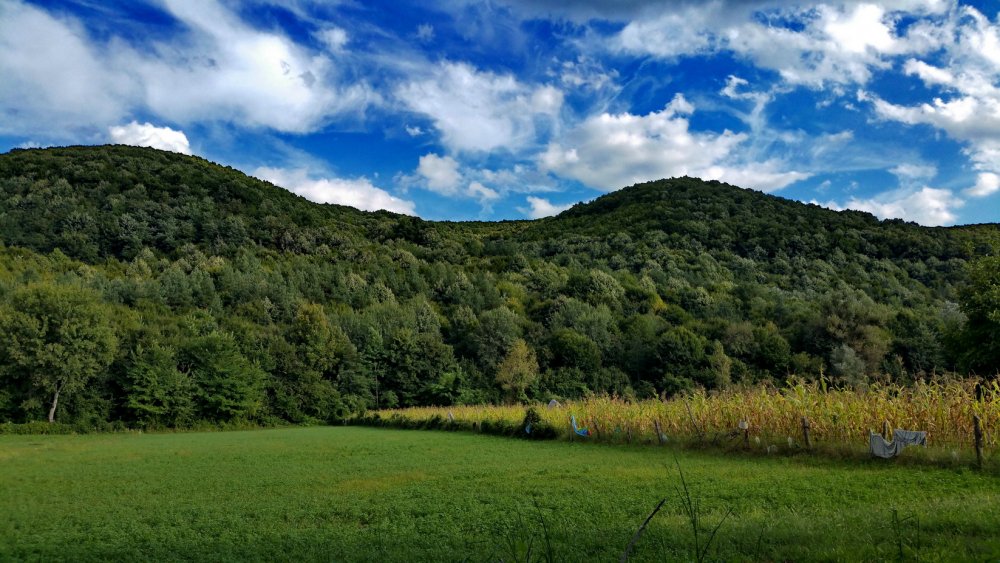 20150906_173950_resize.thumb.jpg.7fd621656f96f51a36936926f8dbe1a5.jpg