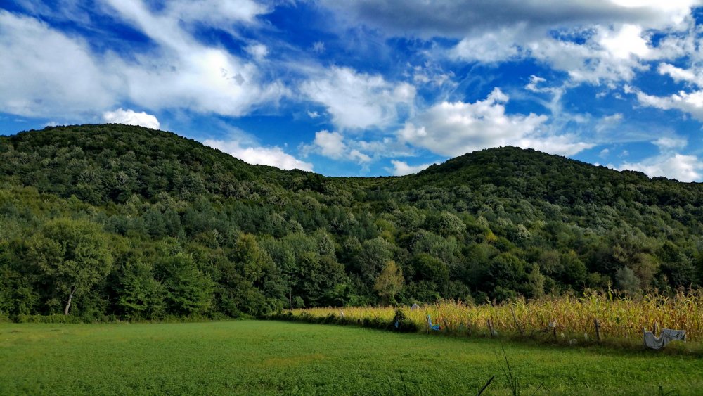 20150906_173957_resize.thumb.jpg.71ad2e4c16f26874e93e71a889d2de50.jpg