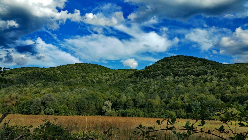 20150906_174229_resize.thumb.jpg.b8c47878515b79a1c9cda51112ee8f53.jpg