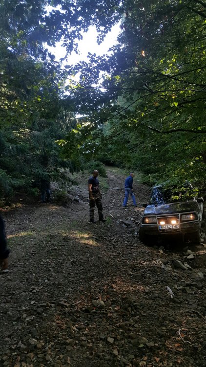 20151003_162219_resized.thumb.jpg.7f96b2336c48058c3989ab79db827e28.jpg