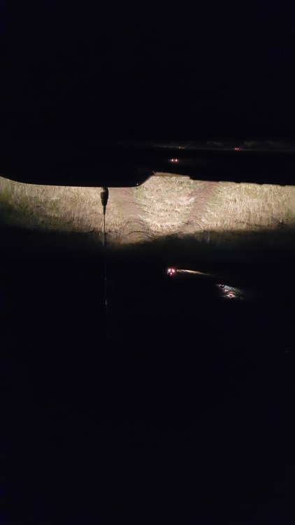 20151030_234413.thumb.jpg.8c80f4a03446ae482b19baeb1df14d0e.jpg