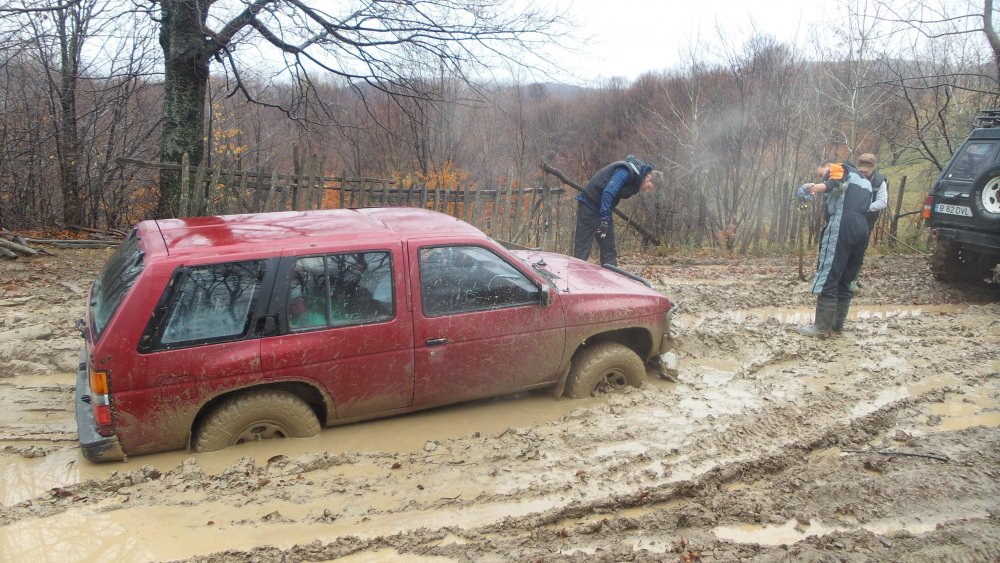 20151128_124945.thumb.jpg.ca3bf45d0052bd25564de51ee491122c.jpg