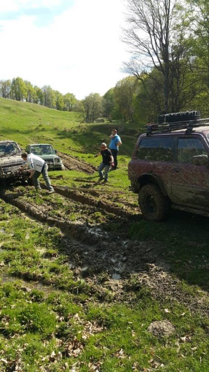 20160416_154933.thumb.jpg.4ad1413c021037d7e0aa00d0f9ed95fd.jpg