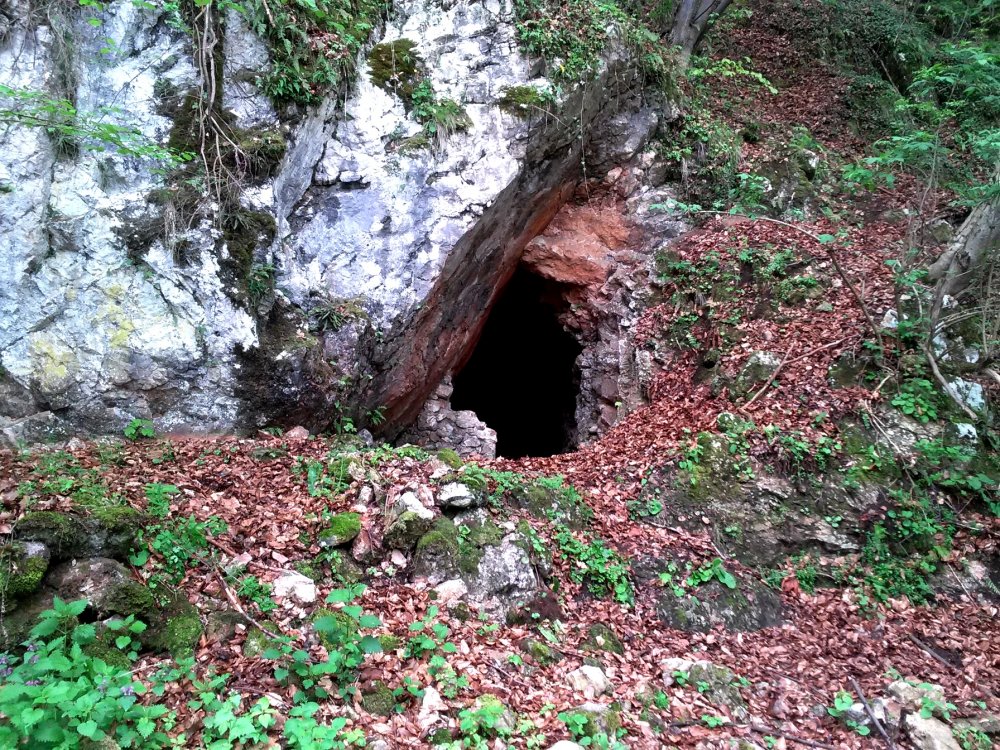 20170504_115827cv.thumb.jpg.b7ba7ef949e045ee34a92b6a091d96c7.jpg