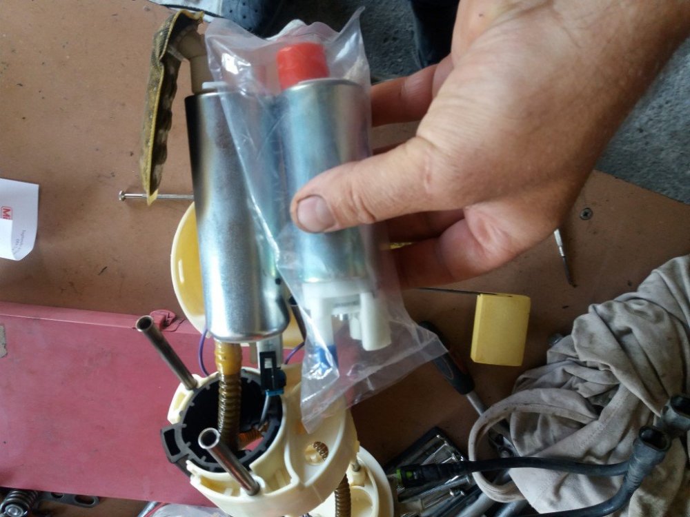 20170826_092306.thumb.jpg.d76c6bdaf373725e77321053862e01c0.jpg