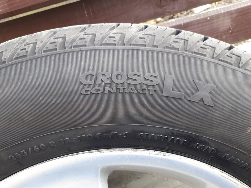 20190409_174020.thumb.jpg.d477b3d8266c349e6da3a239fec242e3.jpg