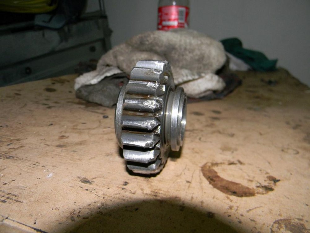 2020331282_DSCN0128(Copy).thumb.jpg.7cdab7803cdfa99866ee30989cc79cb4.jpg