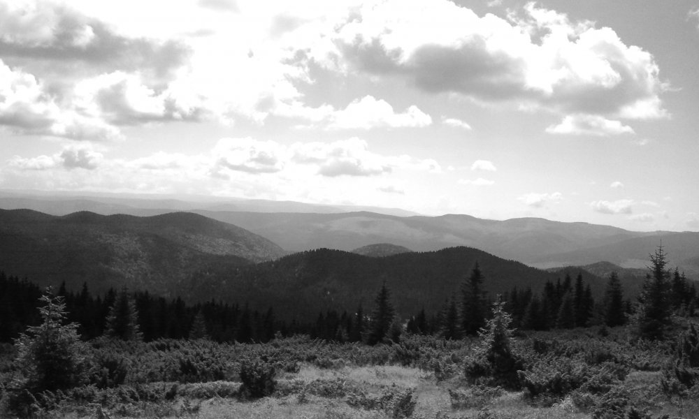 2030477557_2014-08-0911_16_50.thumb.jpg.c8e014dae068b21a3759c95c2411b2c5.jpg