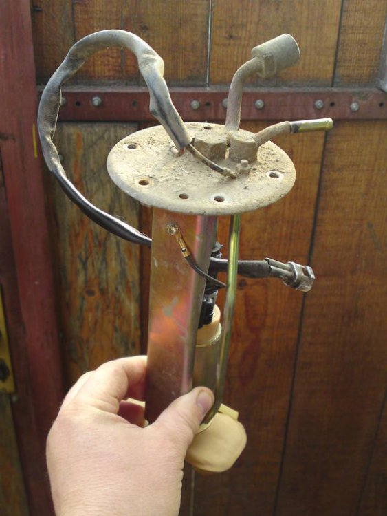 2037011422_fuelpumpentireassemblyback..thumb.jpg.2261ef01285d4dcffc482b3450f3e9ca.jpg