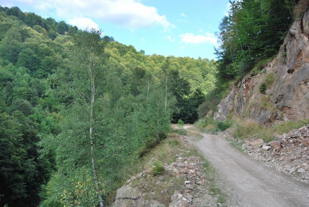 2069988372_DrumuluBasescu032.thumb.jpg.64a37978bbfe35917178f453de1aab65.jpg