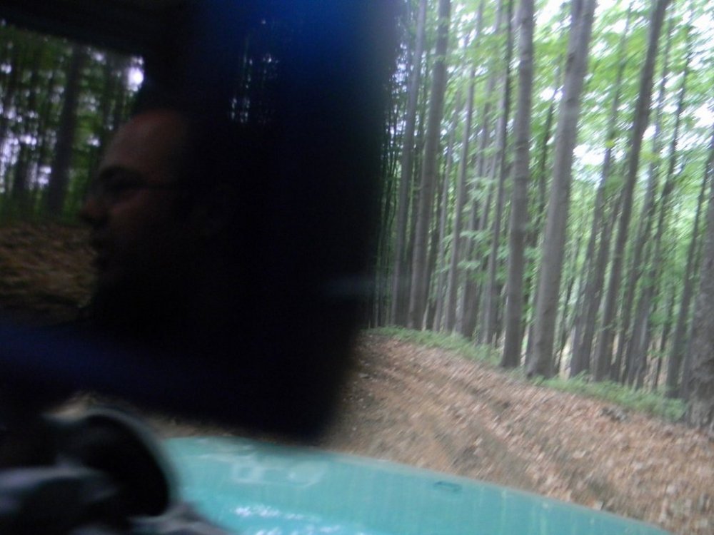 2085507150_DSCN1534(Copy).thumb.jpg.36ba8c6f8f42bfa1363e54f5833111e8.jpg