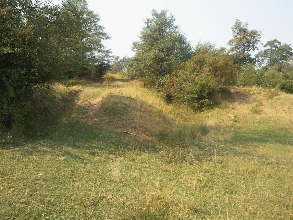 210298678_2012-08-2611_03_19.thumb.jpg.256993cefc3d4abf8a343d48443220c0.jpg