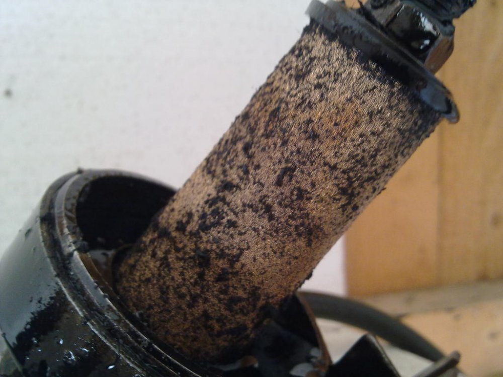 21042011269.thumb.jpg.41c715a046654142de9e7718a8f9f116.jpg