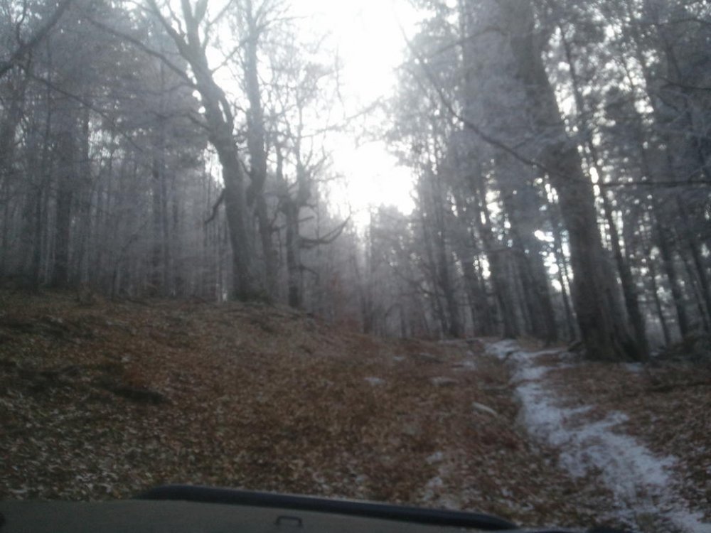 2107622156_2011-11-2711_20_05.thumb.jpg.1c8e18ffde3de2a4e13ca4d190dd04bc.jpg