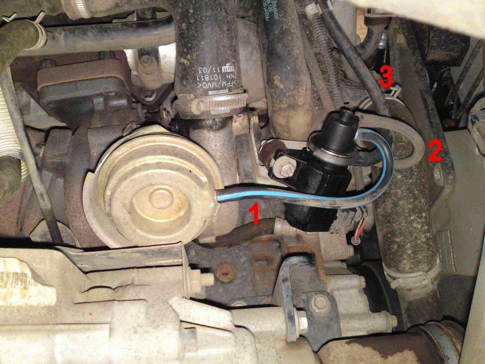 2140394541_turboact.thumb.jpg.fb8b1538c1db1f5ca4e3da7429c6d39e.jpg