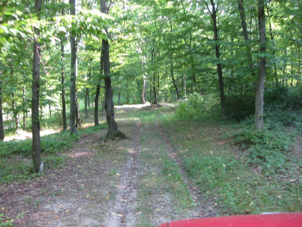 21802807_Picture191.thumb.jpg.feebeb3bfe0a2dcd5333981785e38399.jpg
