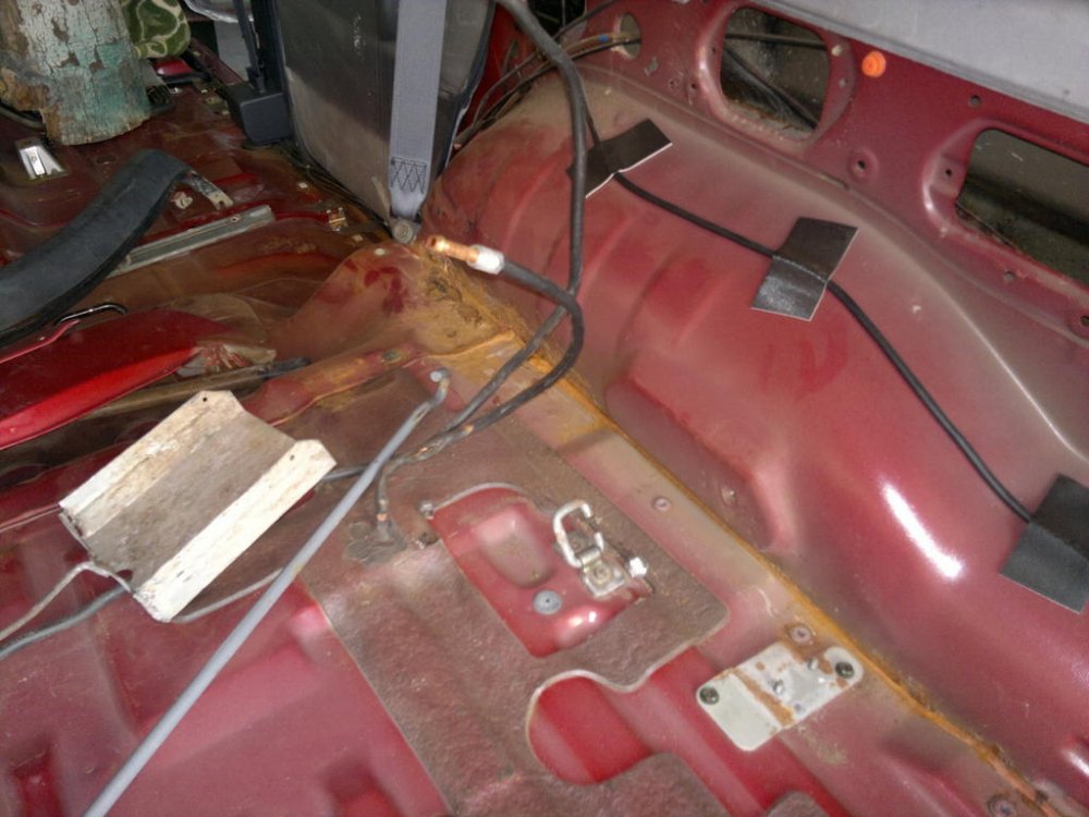 22032012855.thumb.jpg.404c277ecb9d25680ad2f292e8f522d4.jpg