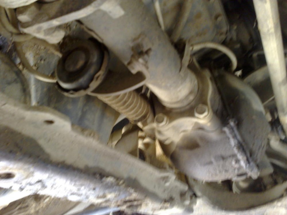 23072012435.thumb.jpg.01d987e4933690dd7ea9f383d113062d.jpg