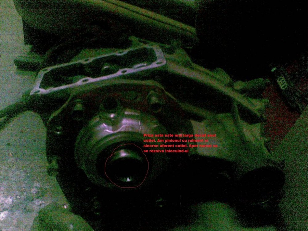 231683700_prizareductor.thumb.jpg.ec64a79e5e55ea87494c9e96d5b9e87e.jpg