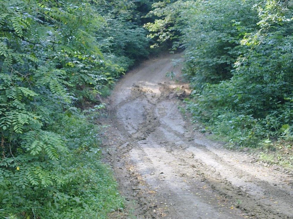 24072011036.thumb.jpg.56aadd9a099a0c23d81ef96b7975d8c3.jpg