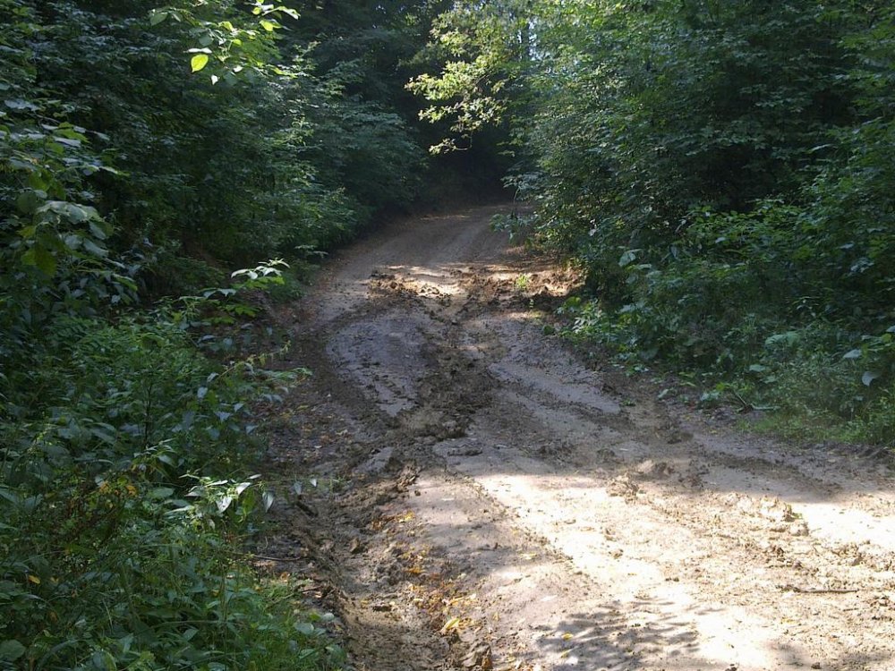 24072011037.thumb.jpg.c5bd65a78551ec2d8651f6e38074f207.jpg
