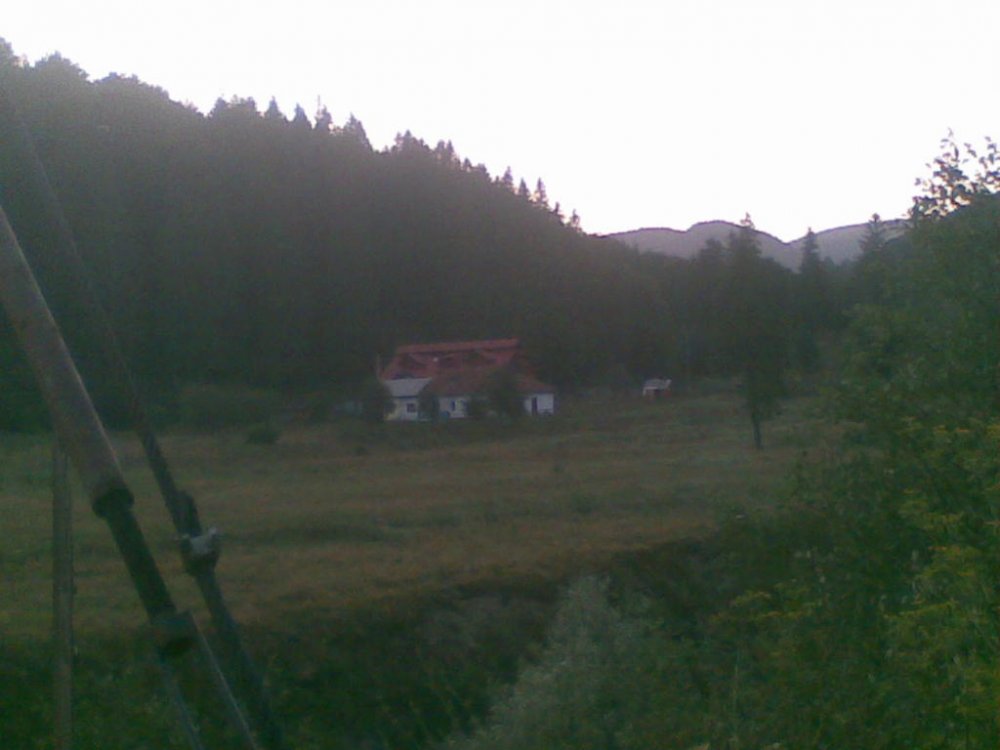24072012(025).thumb.jpg.c148fd450b89da2dabc41d1bcb2f9aa3.jpg