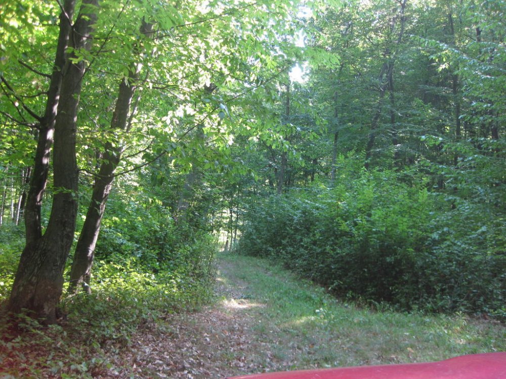 249700291_Picture196.thumb.jpg.394ee42cc75d5cbe2f53490552e0624d.jpg