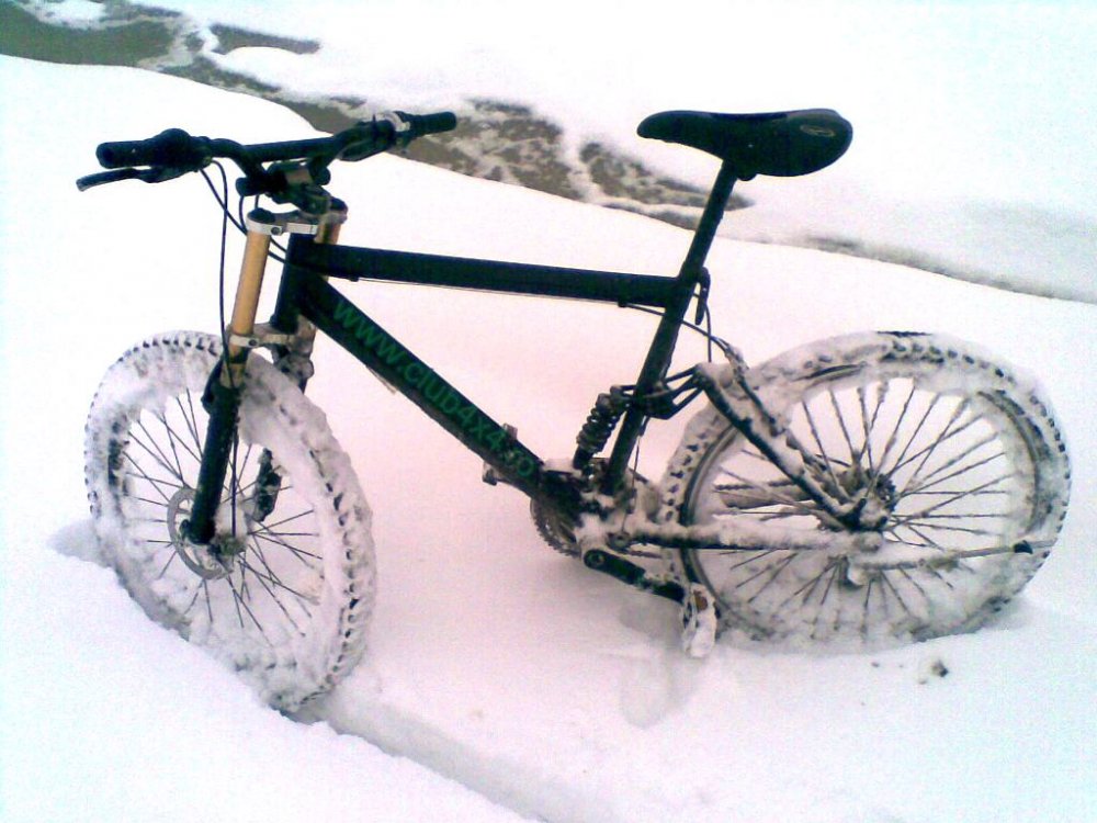 25022011.thumb.jpg.540c048224a98bf8232e1de068d6c4e7.jpg