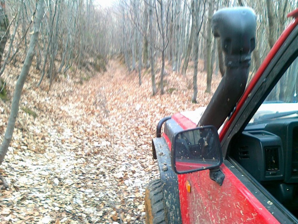 26032011717.thumb.jpg.a60bac09af6de97747046f71c9f0e069.jpg