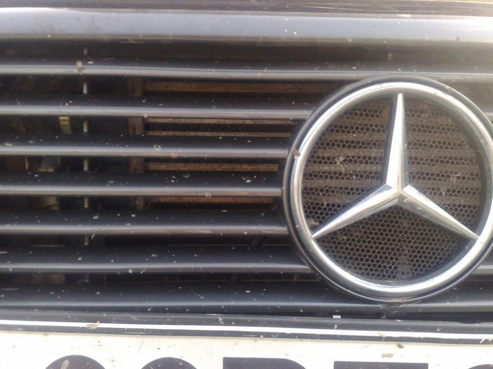 26042011264.thumb.jpg.477b924e9bf65a8e951681519afef8d2.jpg