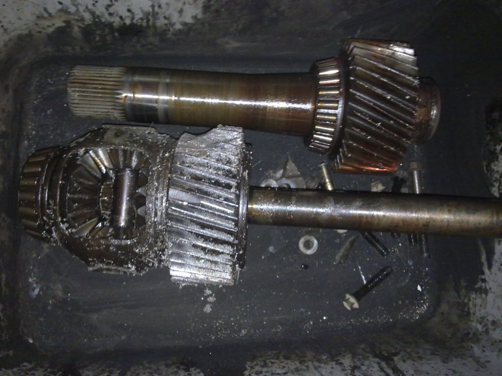 26092011080.thumb.jpg.8e68f022c0b97c5d0bcc58da6e38cc05.jpg
