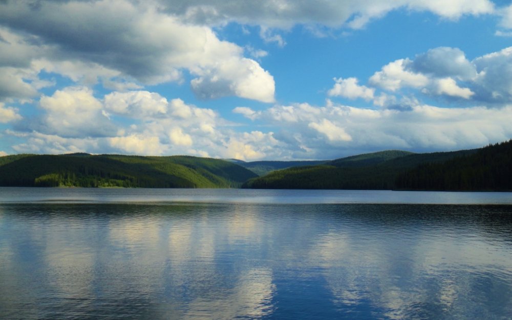 267572520_DSC03502(1024x640).thumb.jpg.749632640decfcfa0ec86142d5249e13.jpg