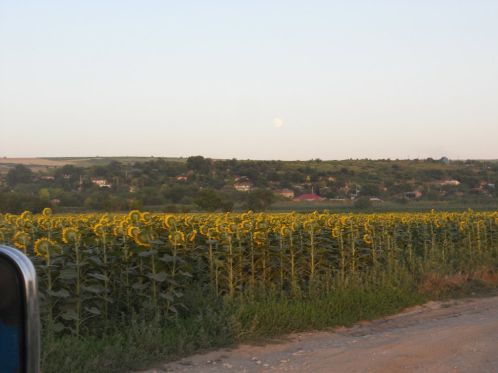 27.thumb.jpg.b7df85c7b3df081163ebf9d51b97d627.jpg