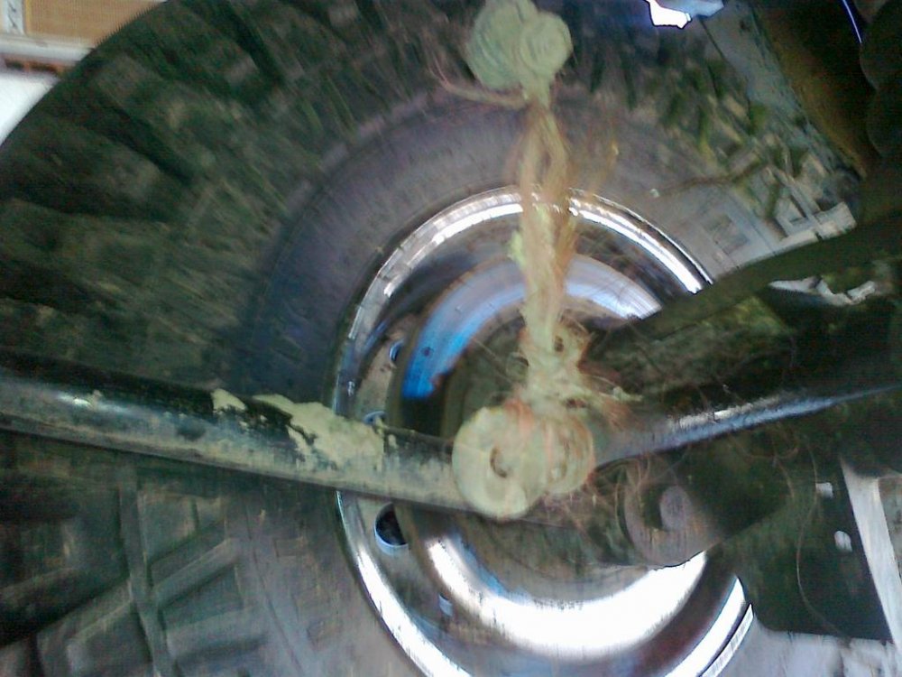 270320122601.thumb.jpg.79017d9b89be57955dfe3a9d5583c723.jpg