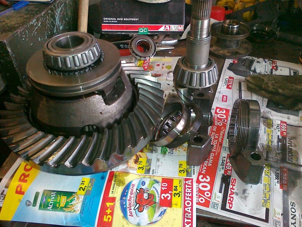 290320122633.thumb.jpg.18f056a98a7a95024461d9c735302c1f.jpg