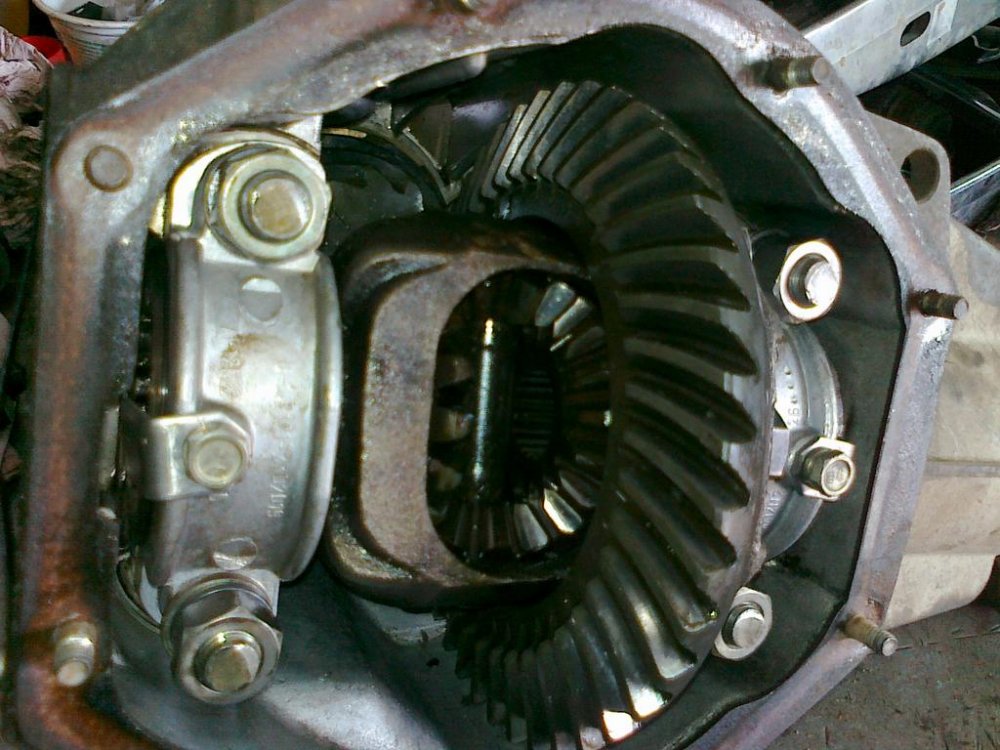 290720111052.thumb.jpg.8e6767faf09e7f83d7f02705428373d9.jpg